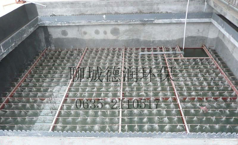 冠縣前進(jìn)集團(tuán)污水處理工程竣工，調(diào)試運(yùn)行效果顯著